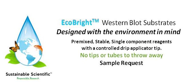 EcoBright Sample